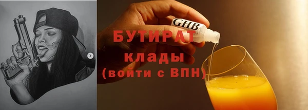 шишки Верея